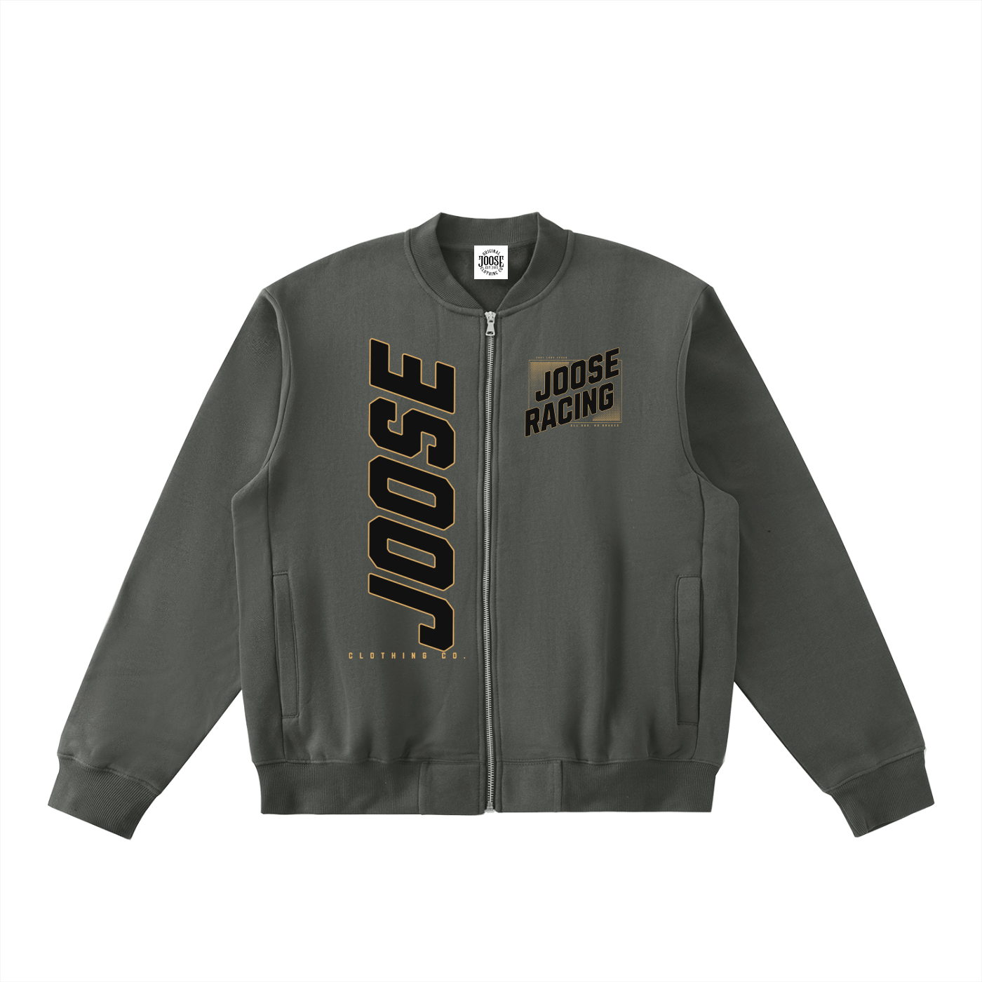 Essential Zip-Up Fleeced Varsity Jacket