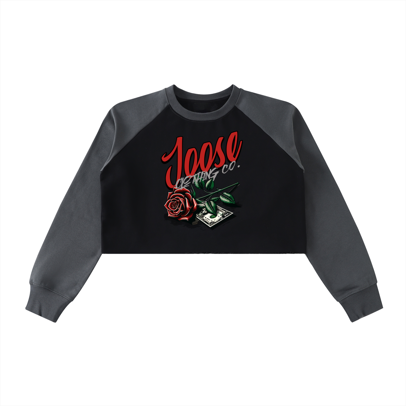 Raw-Hem Color-Block Raglan Crop Sweatshirt