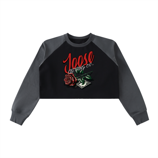Raw-Hem Color-Block Raglan Crop Sweatshirt