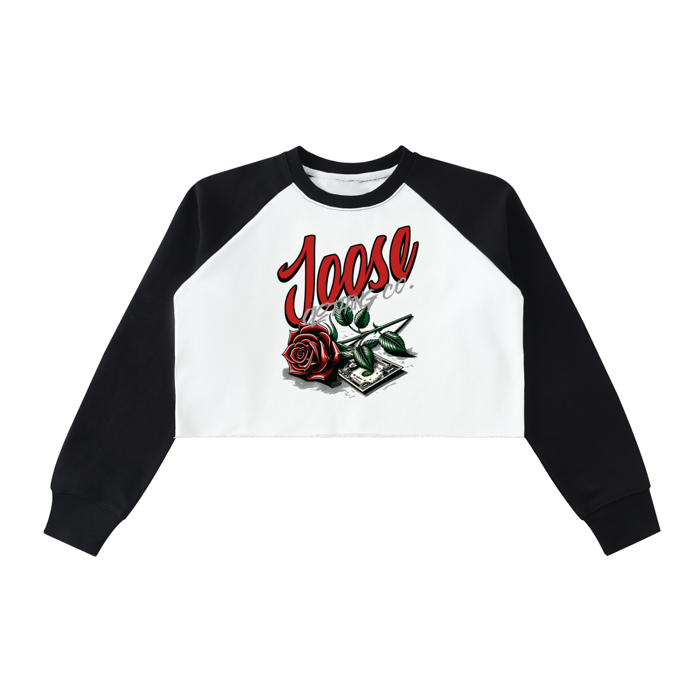 Raw-Hem Color-Block Raglan Crop Sweatshirt